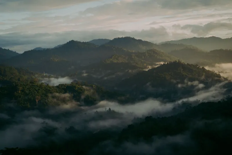 Layers of forested hills with low cloud in the valleys at sunrise