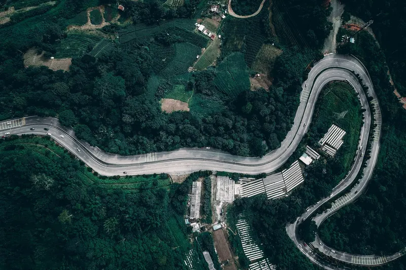 Aerial view of a winding road with greenhouses beside it in forested hills