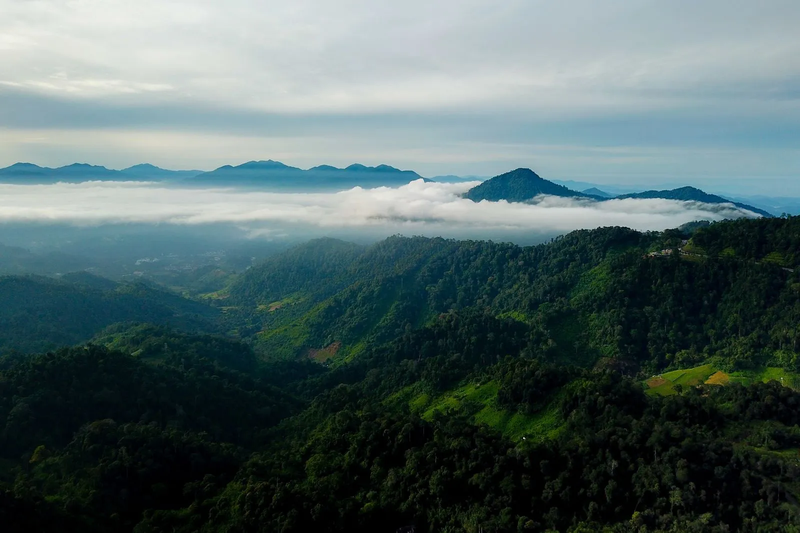 Forested ridges above a layer of low cloud, peaks on the horizon