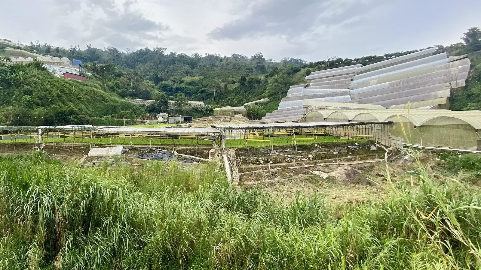 Vegetable plots and plastic greenhouses in the Bertam valley