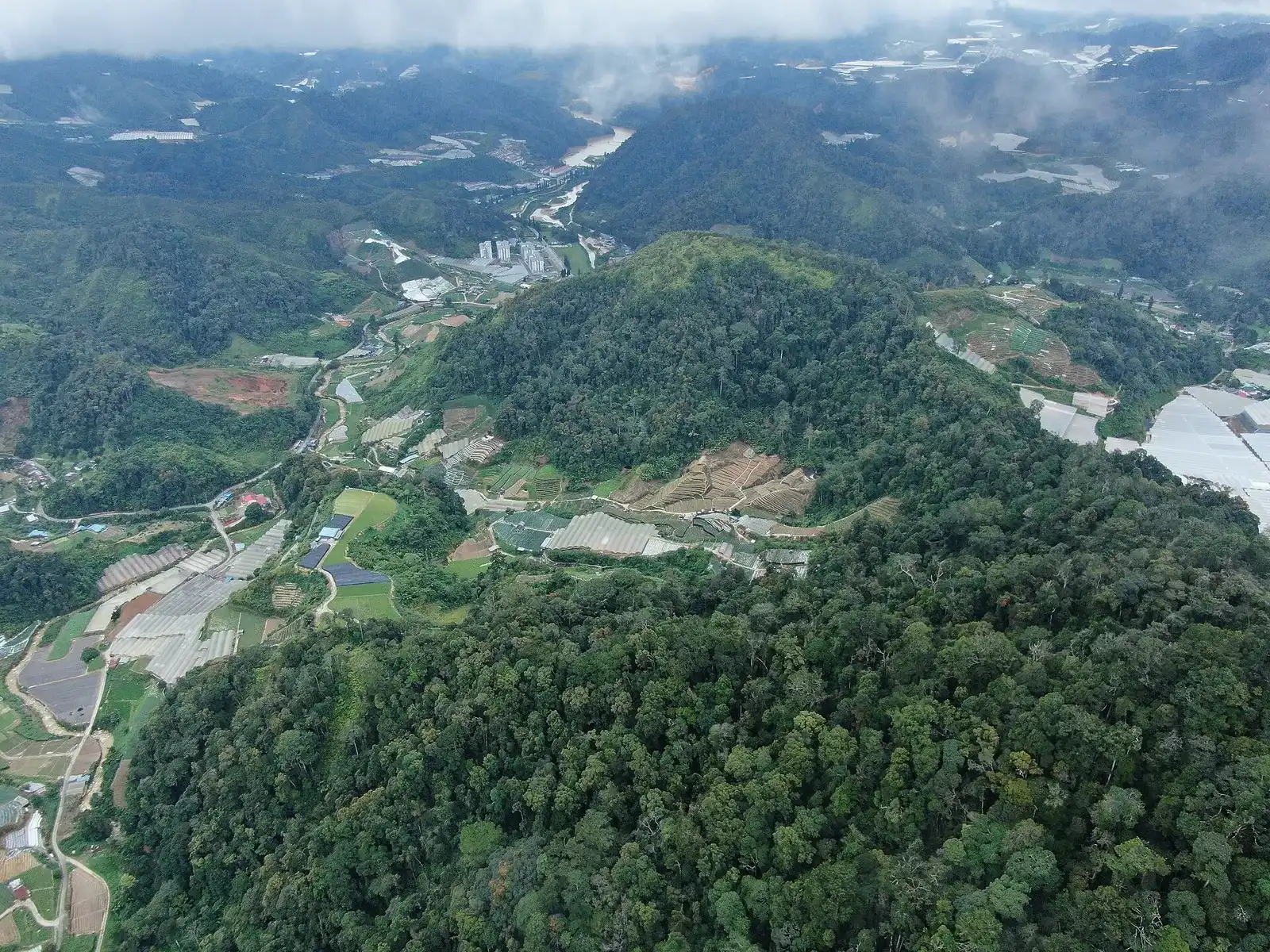 Aerial view of a forested hill with farms and greenhouses in the valleys