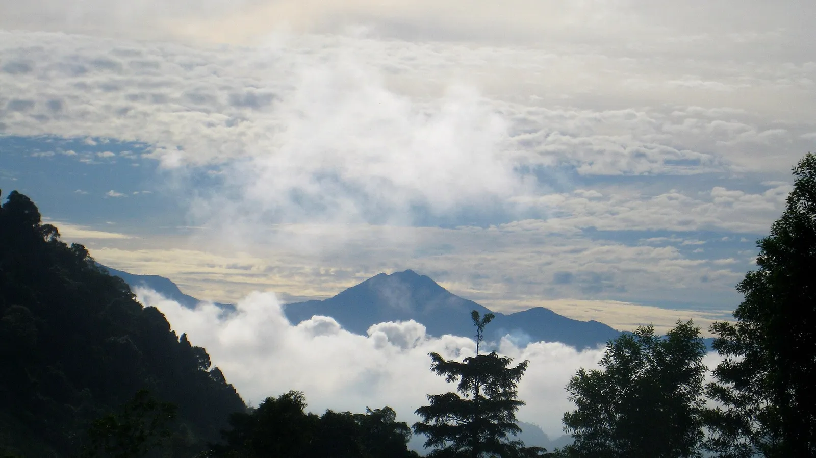 Low cloud filling the valleys below forested peaks