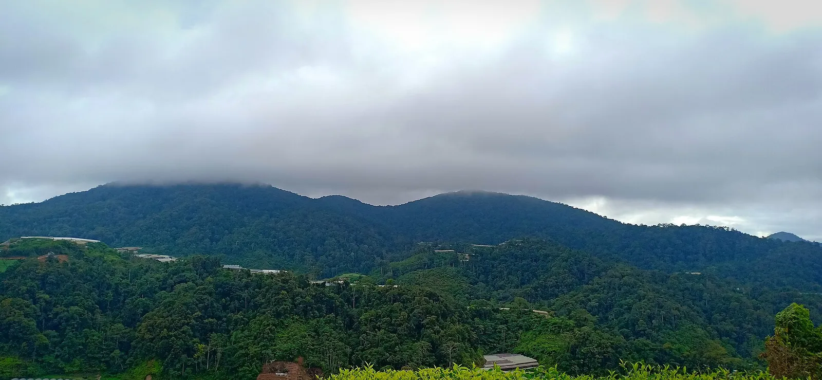 Cloud resting on a forested ridge above green valleys