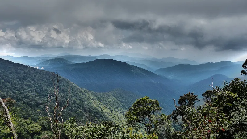 Layered forested mountain ranges under a grey sky, seen from a summit